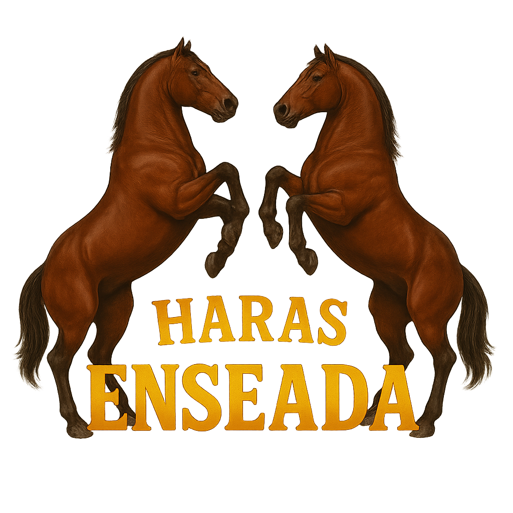 Logo do Haras Enseada