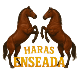 Logo do Haras